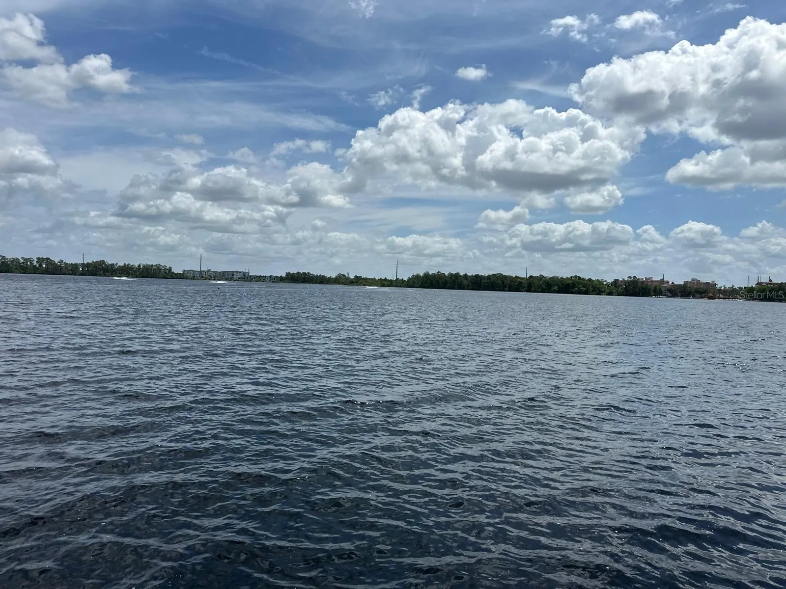 13427 BLUE HERON BEACH DR #402, ORLANDO, FL property photo 36 of 46