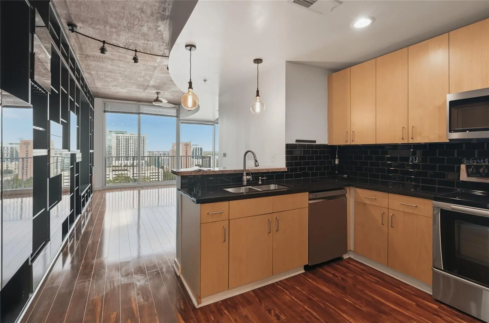 155 S COURT AVE #1113, ORLANDO, FL