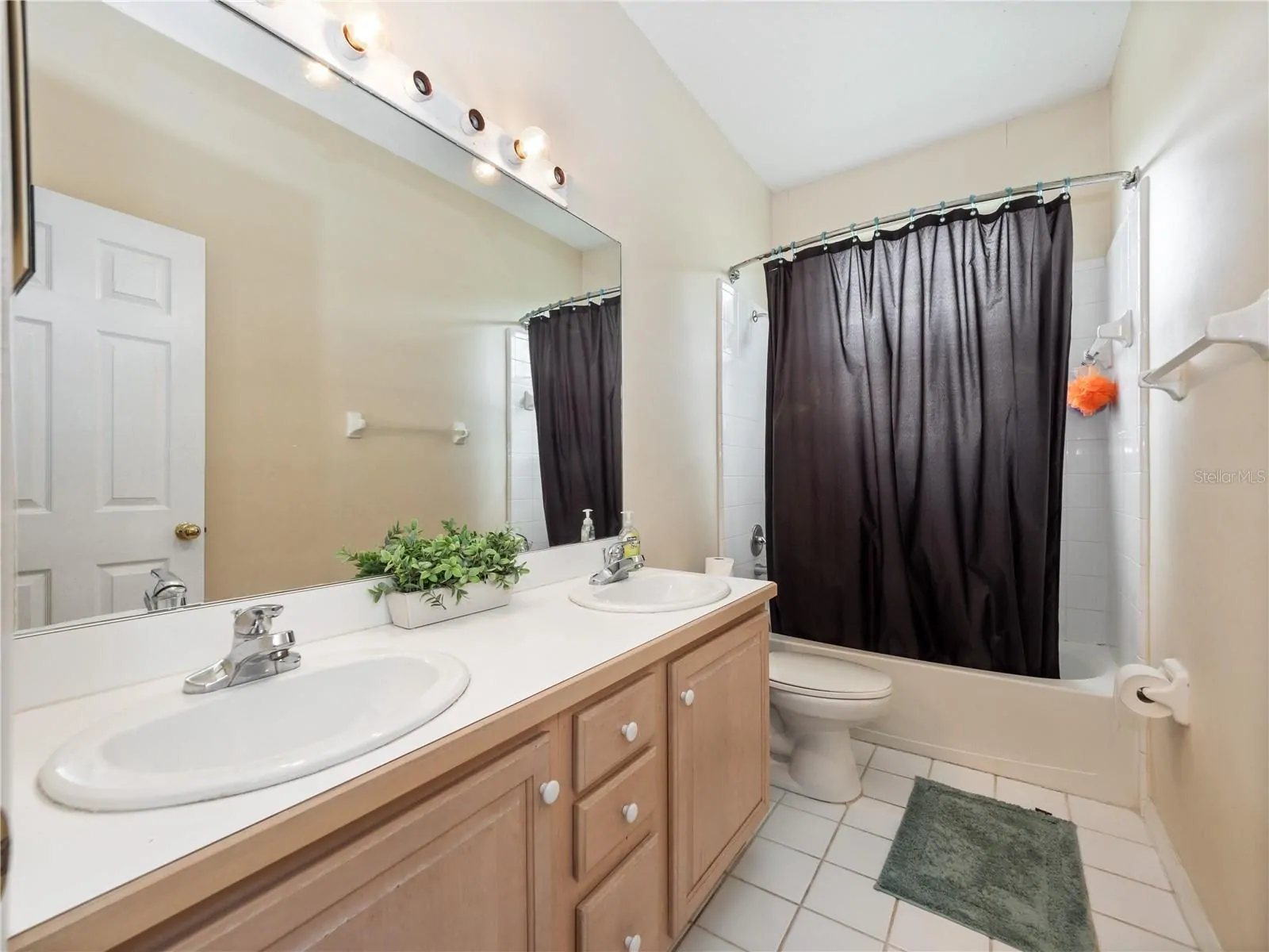 10221 LUNDY CT, ORLANDO, FL property photo 29 of 39