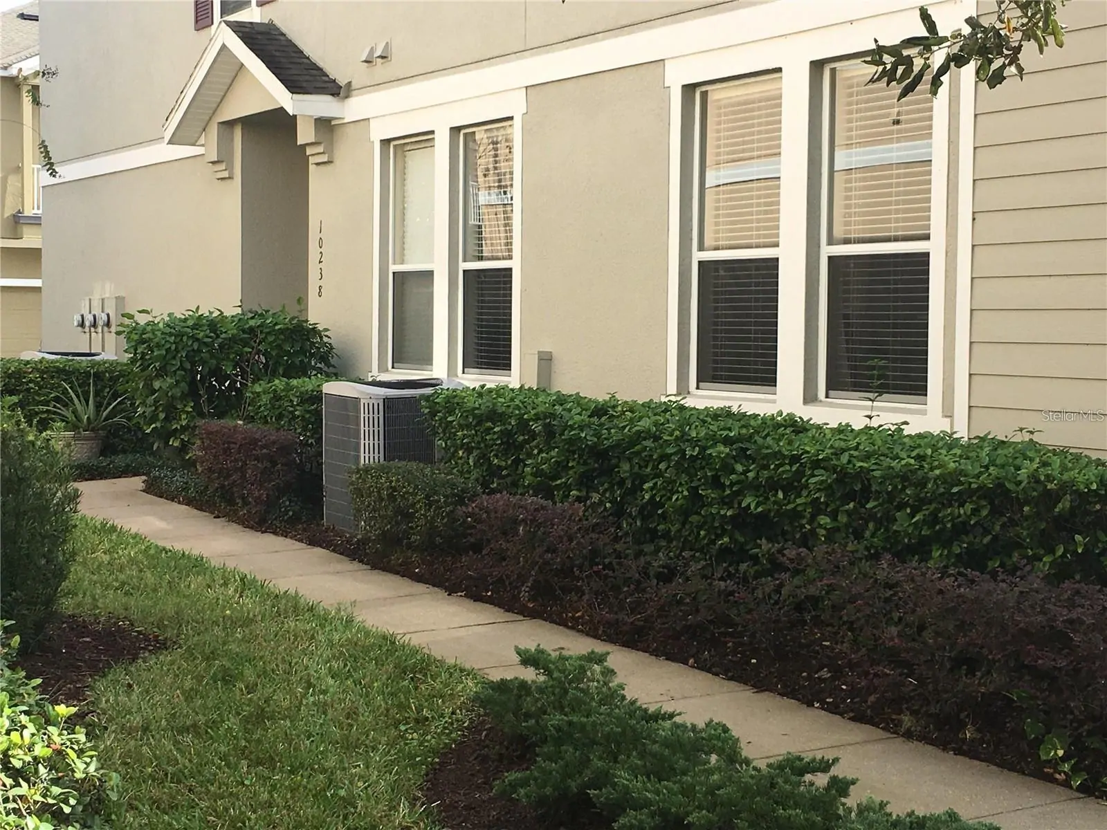 10238 CALA LILY TRL #S, ORLANDO, FL