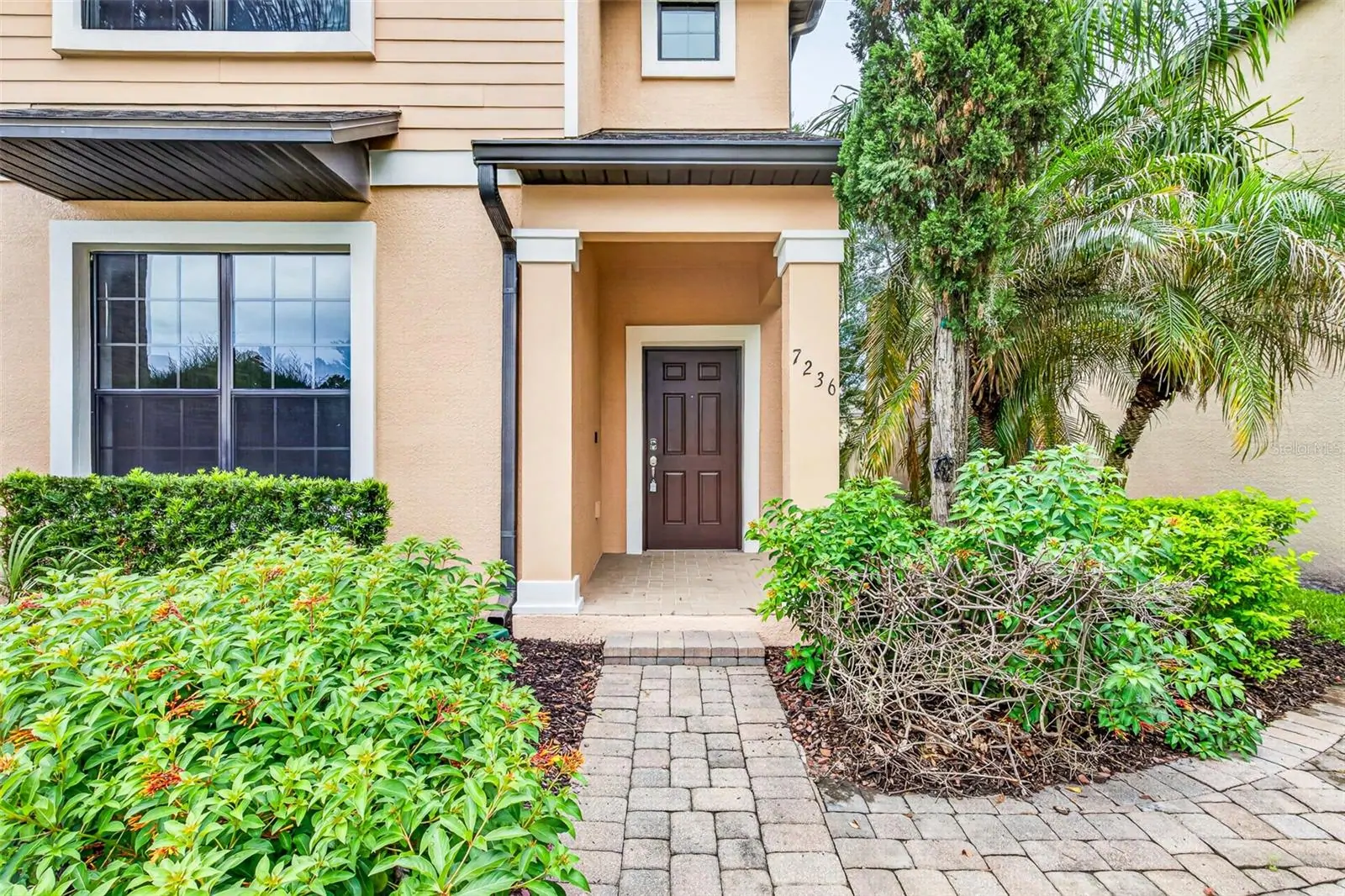 7236 PENKRIDGE LN, WINDERMERE, FL property photo 19 of 68